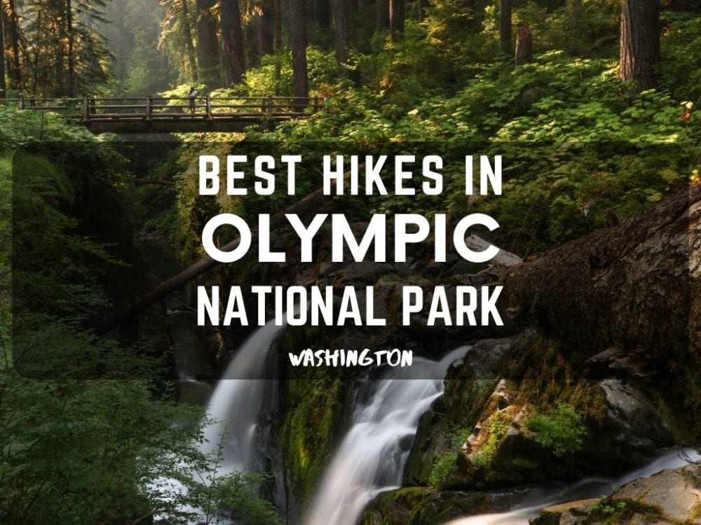 Best Hikes in Olympic National Park, Washington