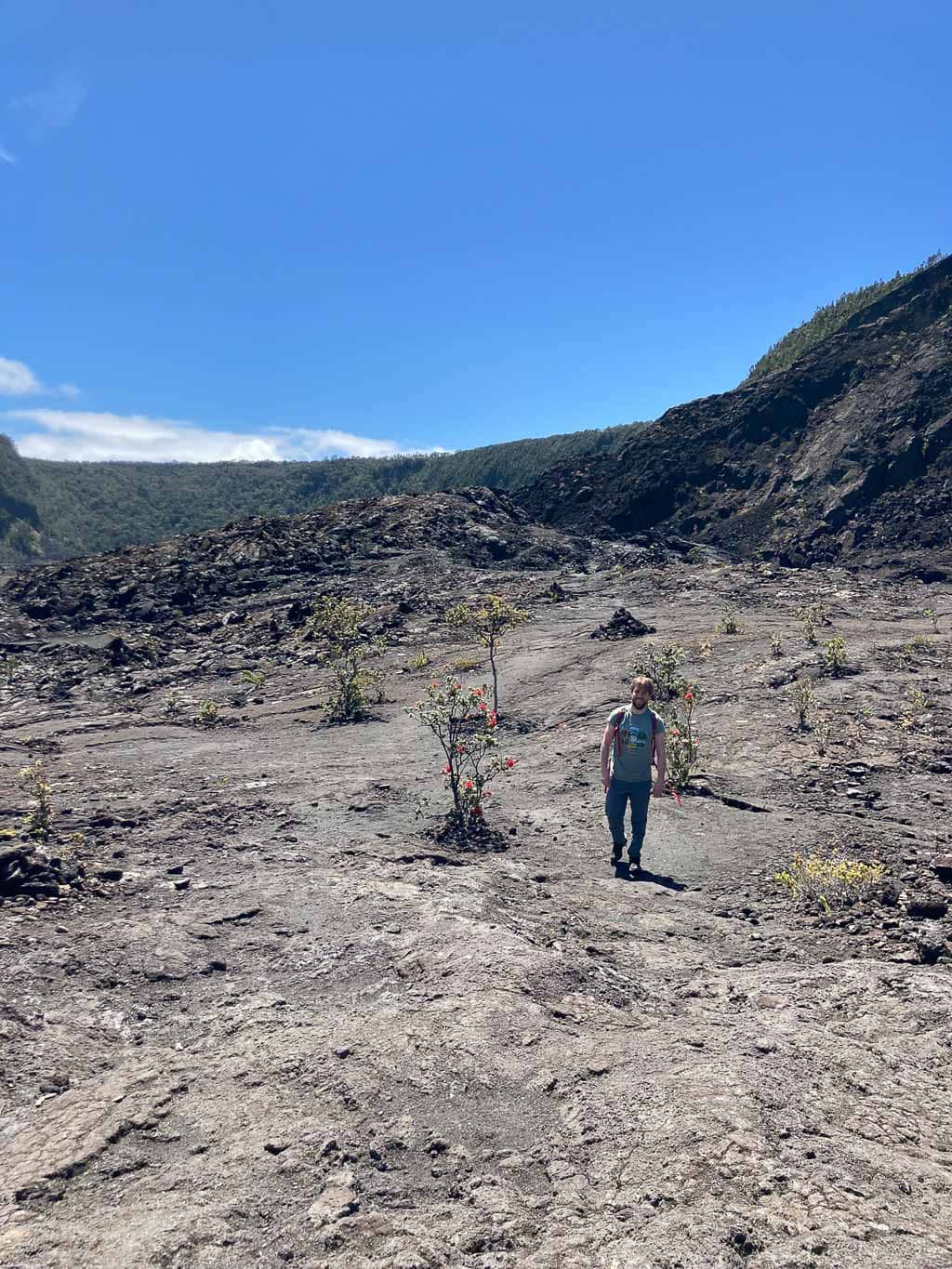 Hawaii Volcanoes National Park Hikes – ATEEP
