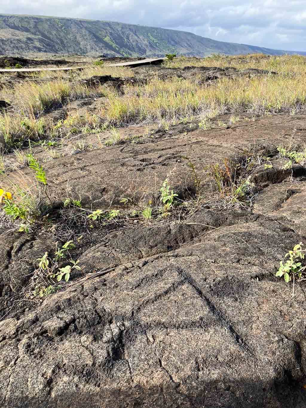 Pu‘uloa Petroglyphs Trail, Chain of Craters Road in Hawai‘i Volcanoes National Park, Hawaii