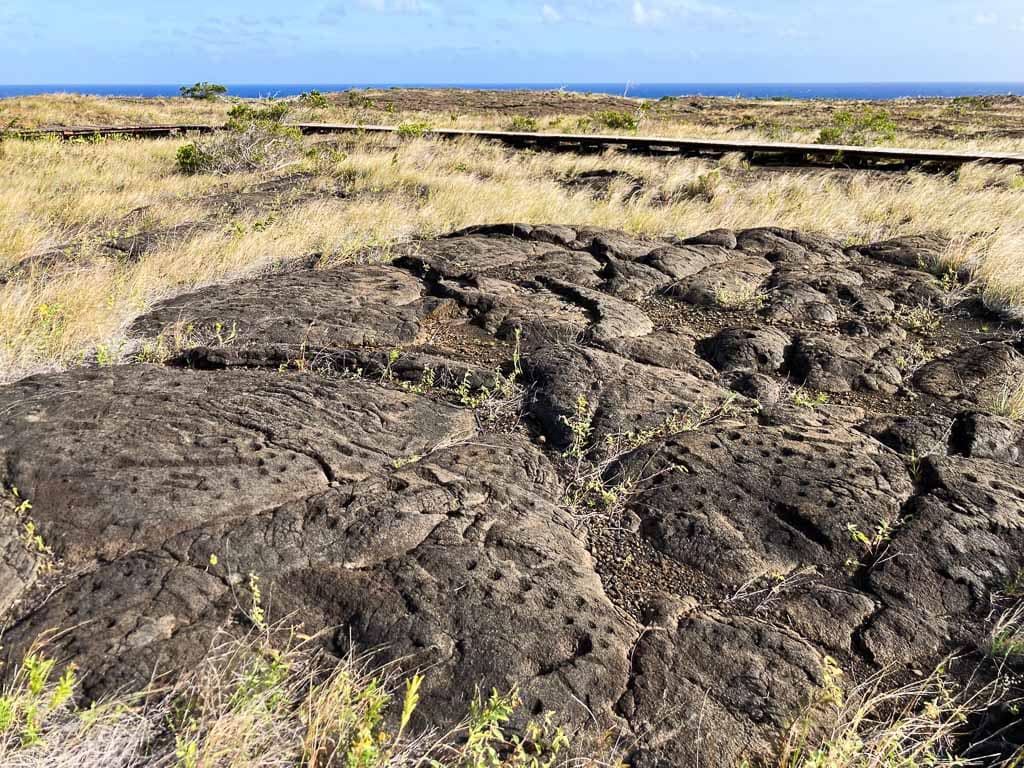 Pu‘uloa Petroglyphs boardwalk, Chain of Craters Road in Hawai‘i Volcanoes National Park, Hawaii
