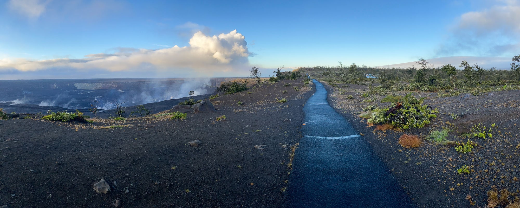 Rim Trail panorama near Kilauea Overlook, Hawai'i Volcanoes National Park, Hawaii