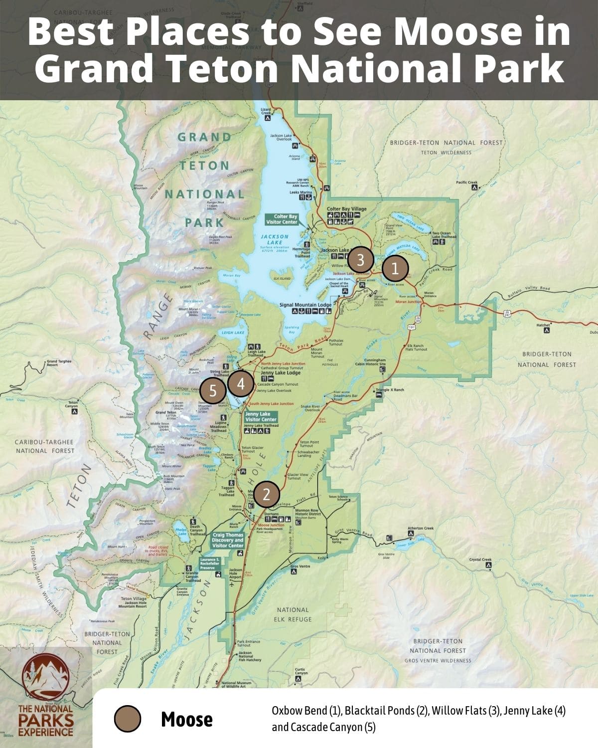 Map of the Best Places to See Moose in Grand Teton National Park