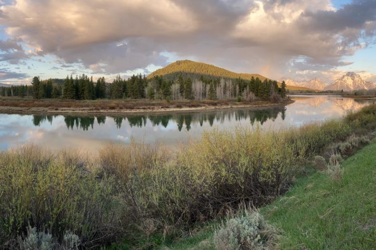 Oxbow Bend sunrise, best places to see moose in Grand Teton National Park
