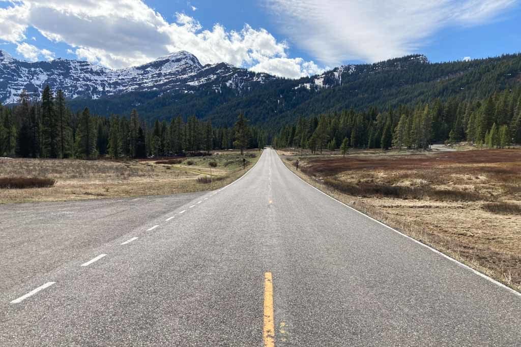 Road in northwest Yellowstone National Park