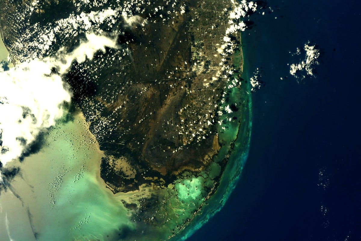 Everglades National Park seen from space - Credit NASA Ricky Arnold