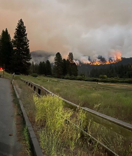 View of the Washburn Fire near Mariposa Grove in Yosemite National Park - Credit NPS Yosemite Fire and Aviation