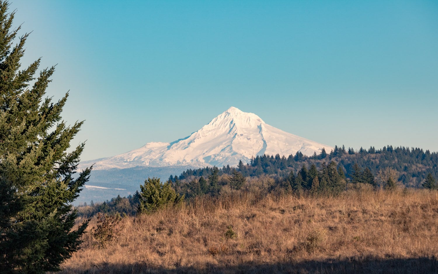 Mount Hood seen from Powell Butte in Portland, Oregon