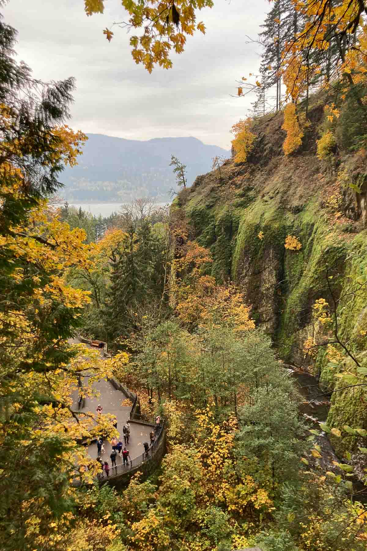 Fall foliage at Multnomah Falls in the Columbia River Gorge, Oregon