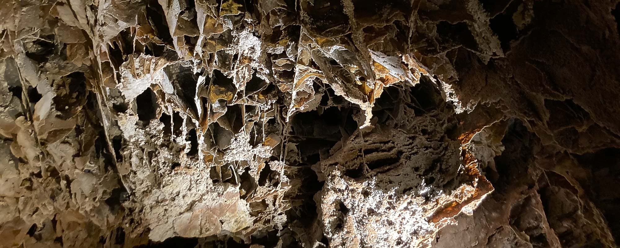 Wind Cave National Park - Boxwork