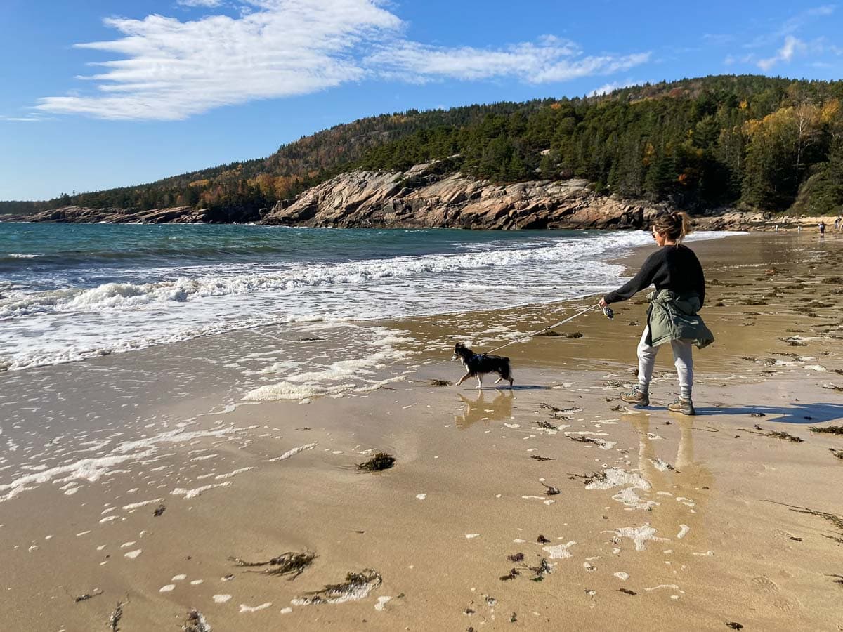 Dog with owner on Sand Beach in Acadia National Park, Maine