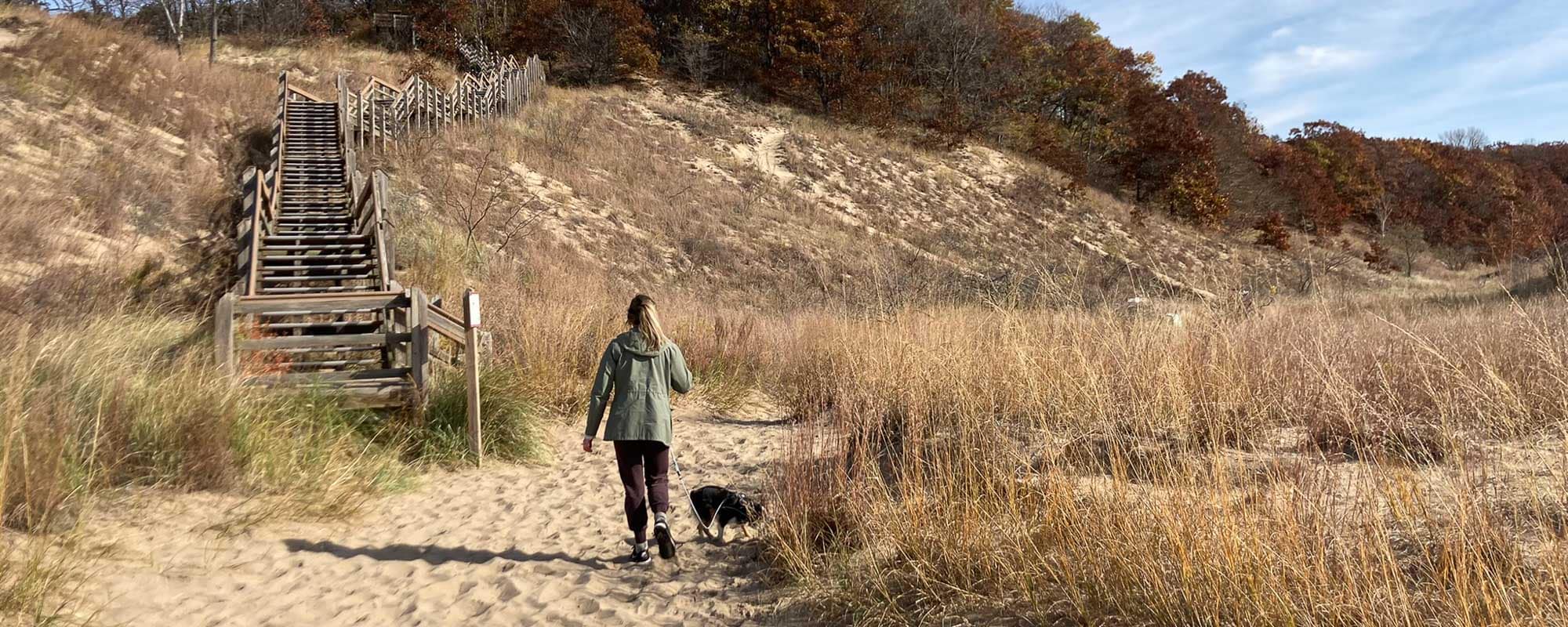 Hiker with dog on the 3-Loop Trail in Indiana Dunes National Park
