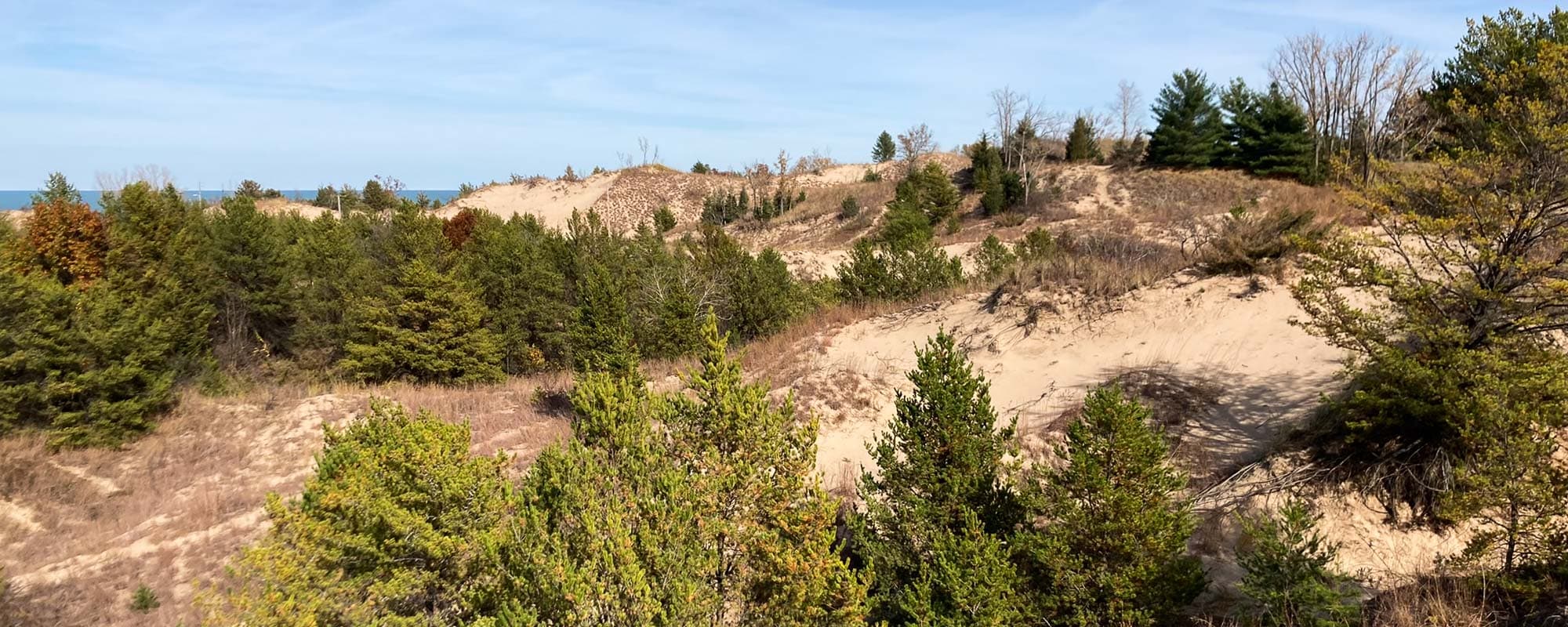 Sand dunes in Indiana Dunes National Park, Indiana