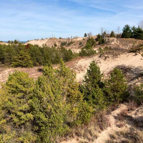 Sand dunes in Indiana Dunes National Park, Indiana