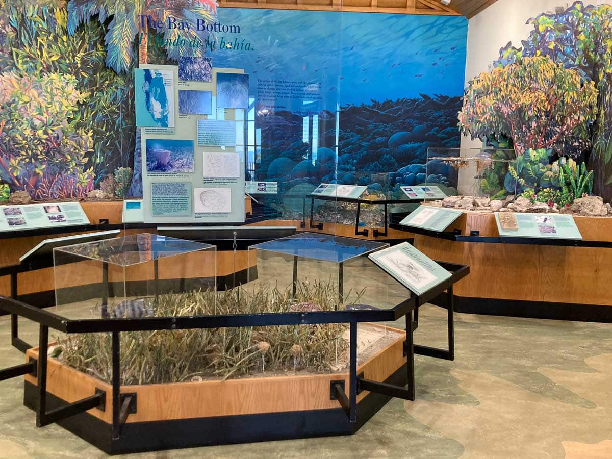 Dante Fascell Visitor Center exhibit in Biscayne National Park, Florida