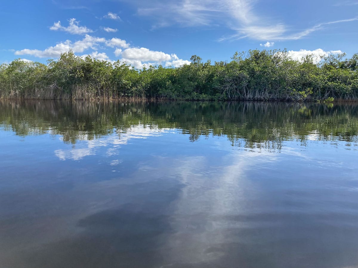 Nine Mile Pond mangroves, Everglades National Park
