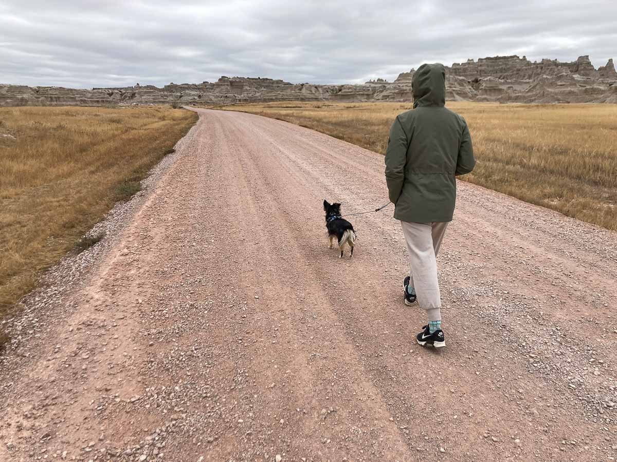 Dog walking with owner on Old Northeast Road, Badlands National Park in South Dakota