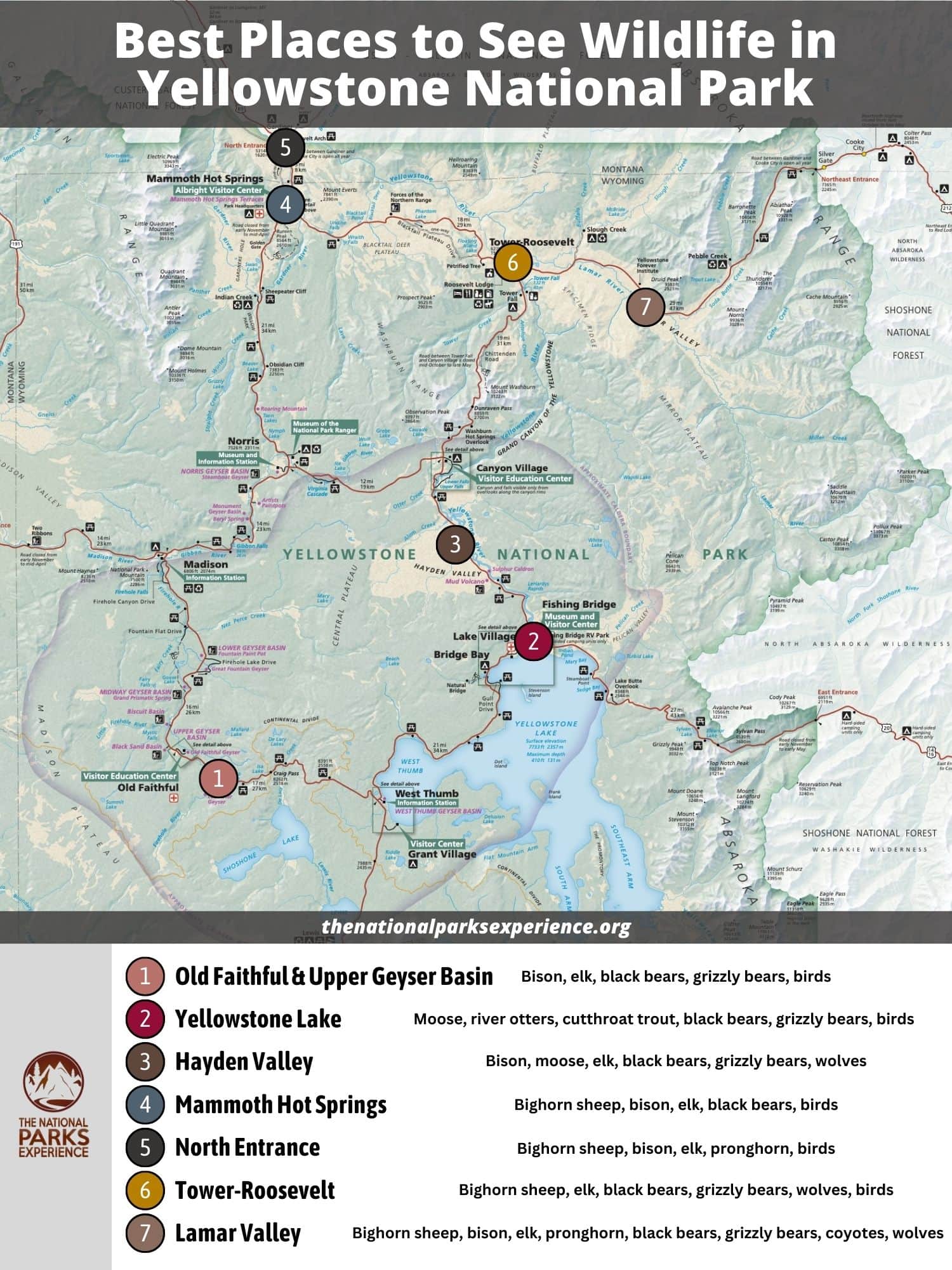 Map of the Best Places to See Wildlife in Yellowstone National Park