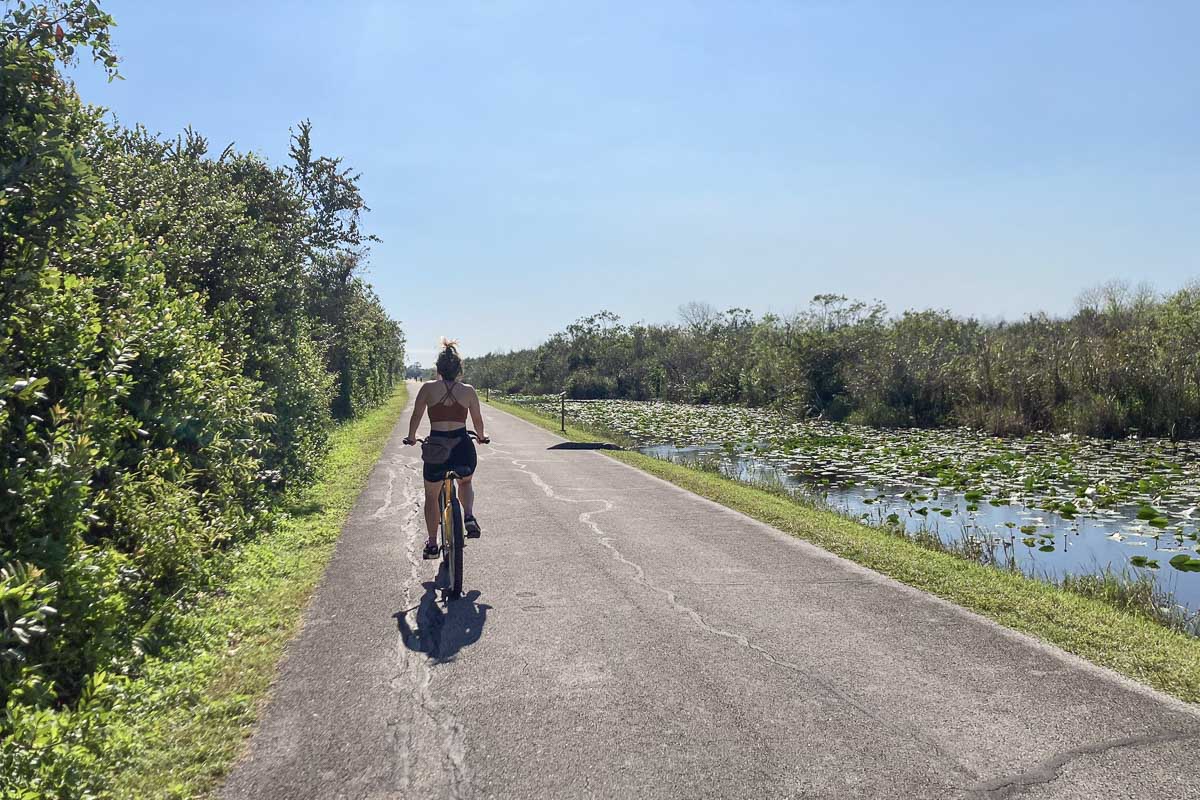 Biker on the Shark Valley Tram Road and Bike Trail in Everglades National Park