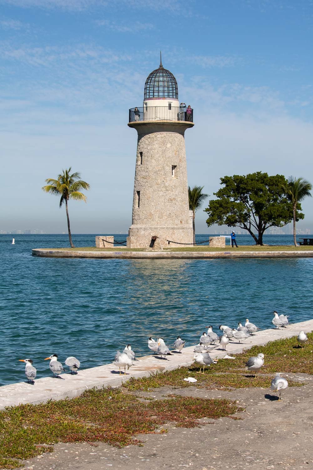 Birds at the Boca Chita Key Lighthouse in Biscayne National Park, Florida
