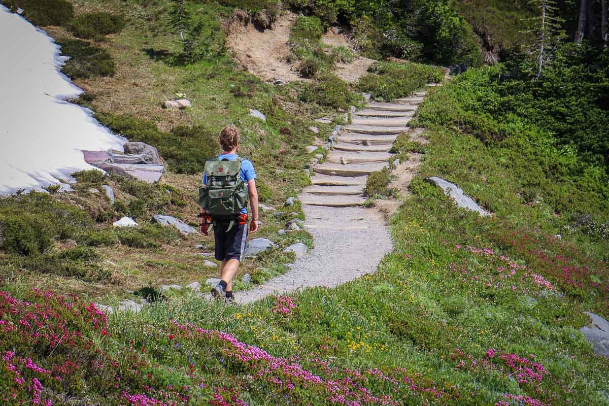 Hiker with backpack on a hiking trail in Mount Rainier National Park