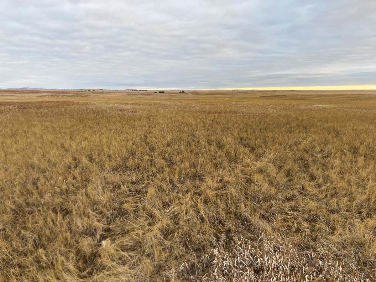Prairie Wind Overlook prairie landscape in Badlands National Park