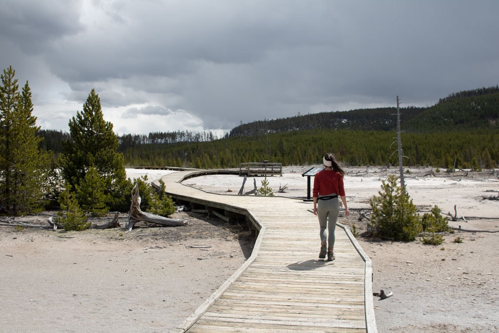 A hiker walk the Back Basin boardwalk at Norris Geyser Basin, one of the best Yellowstone spring hikes