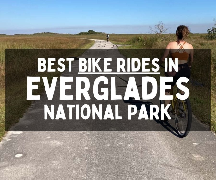 Best Bike Rides in Everglades National Park, Florida