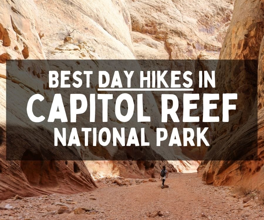 Best Day Hikes in Capitol Reef National Park, Utah
