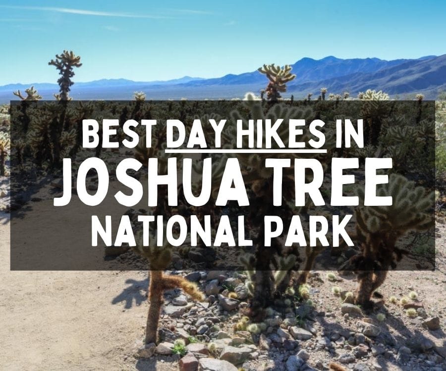Best Day Hikes in Joshua Tree National Park, California
