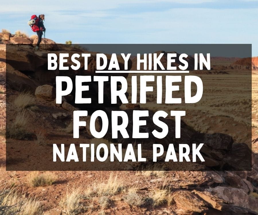 Best Day Hikes in Petrified Forest National Park, Arizona