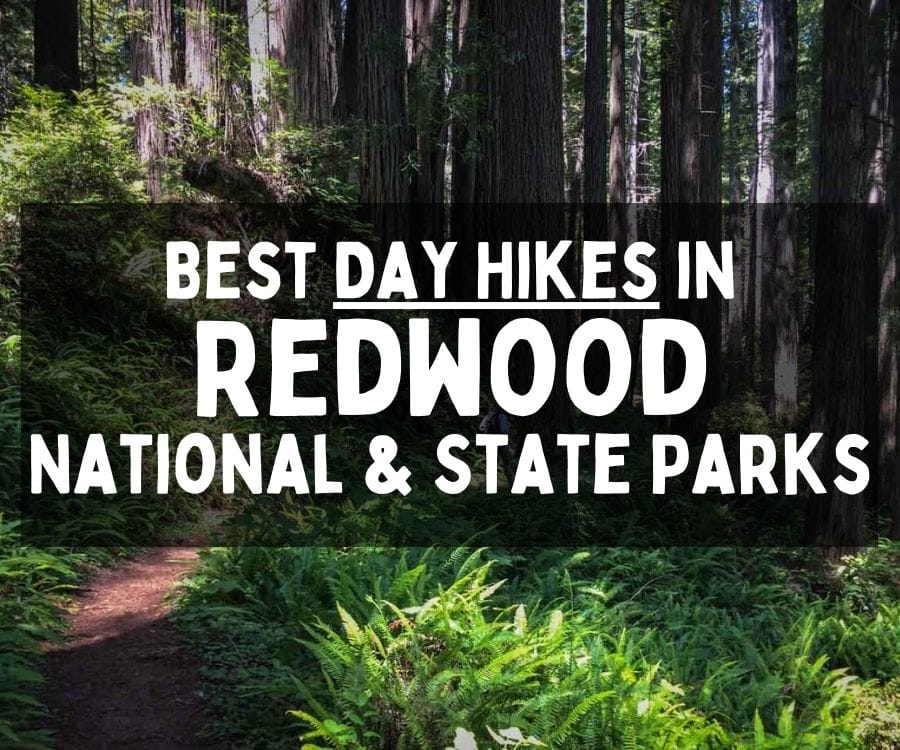 Best Day Hikes in Redwood National and State Parks, California