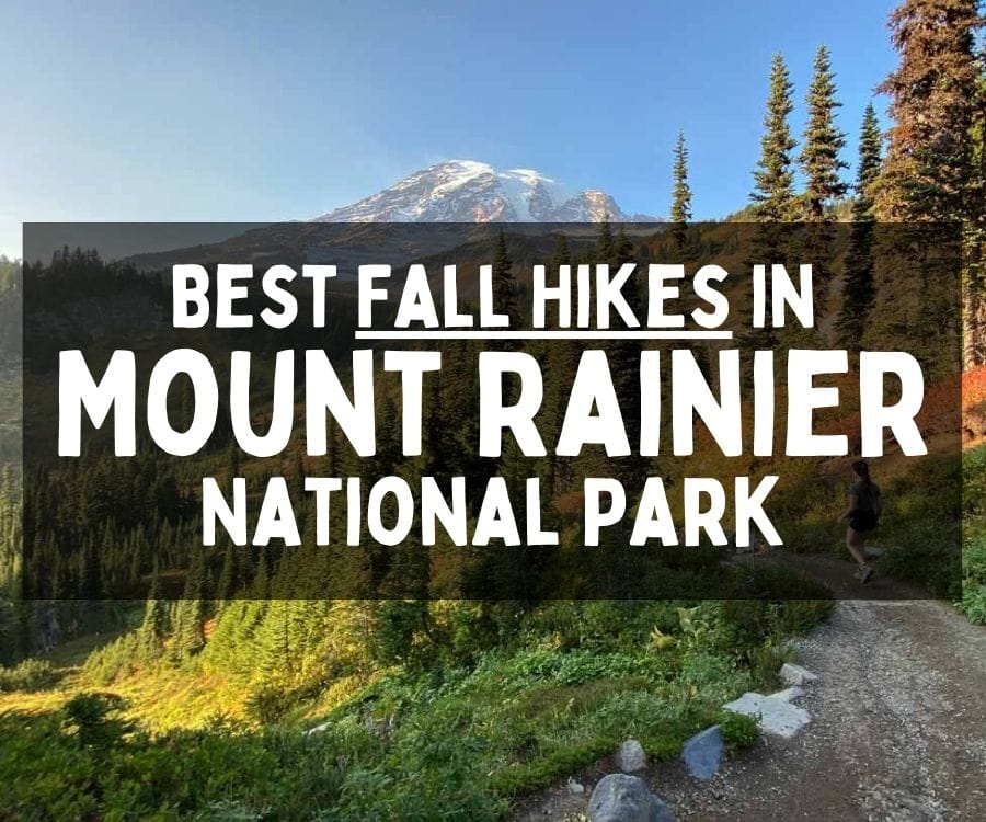 Best Fall Hikes in Mount Rainier National Park, Washington