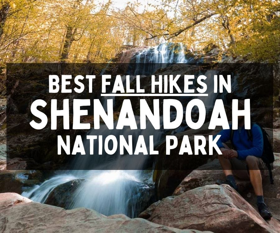 Best Fall Hikes in Shenandoah National Park, Virginia