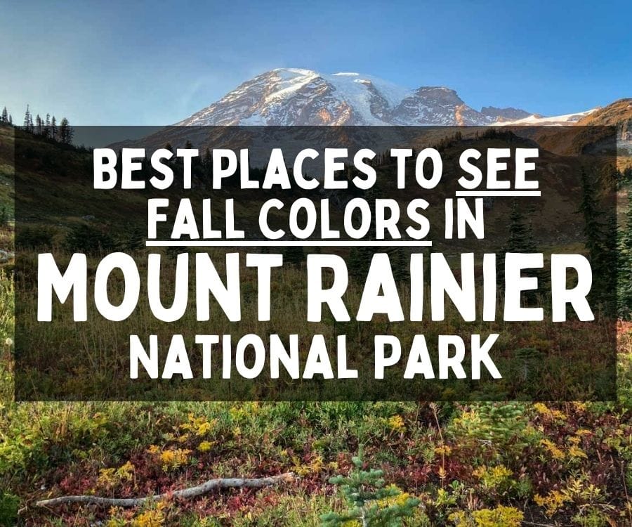 Best Places to See Fall Colors in Mount Rainier National Park, Washington