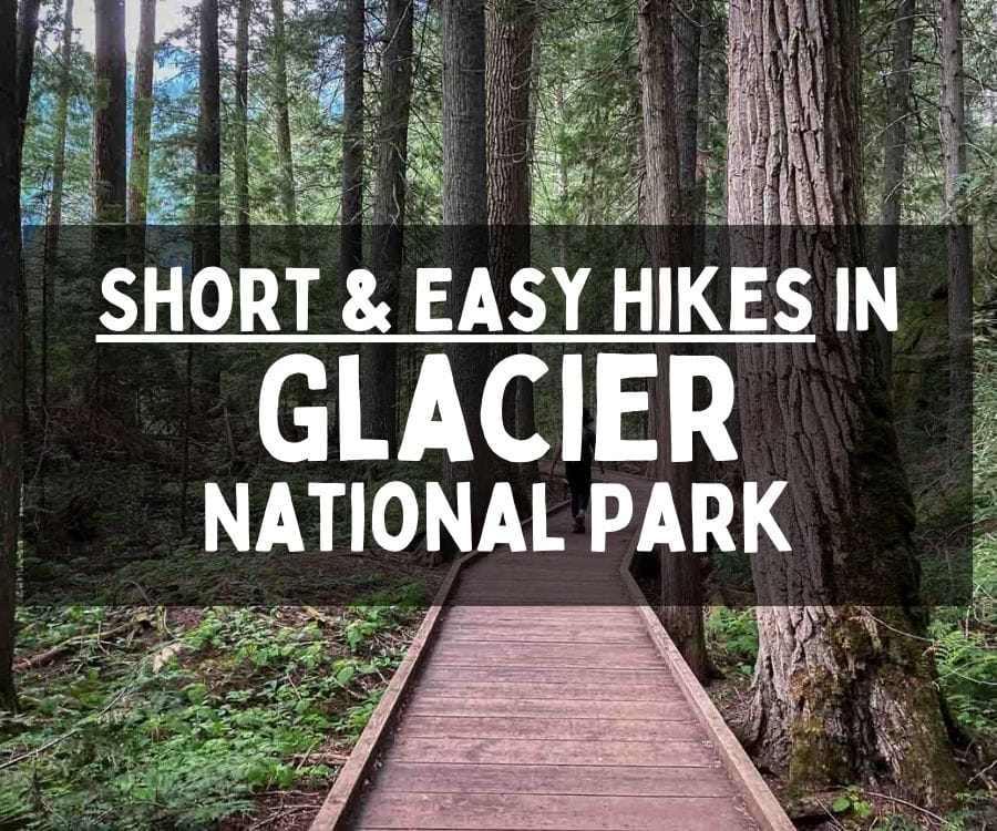Best Short and Easy Hikes in Glacier National Park, Montana