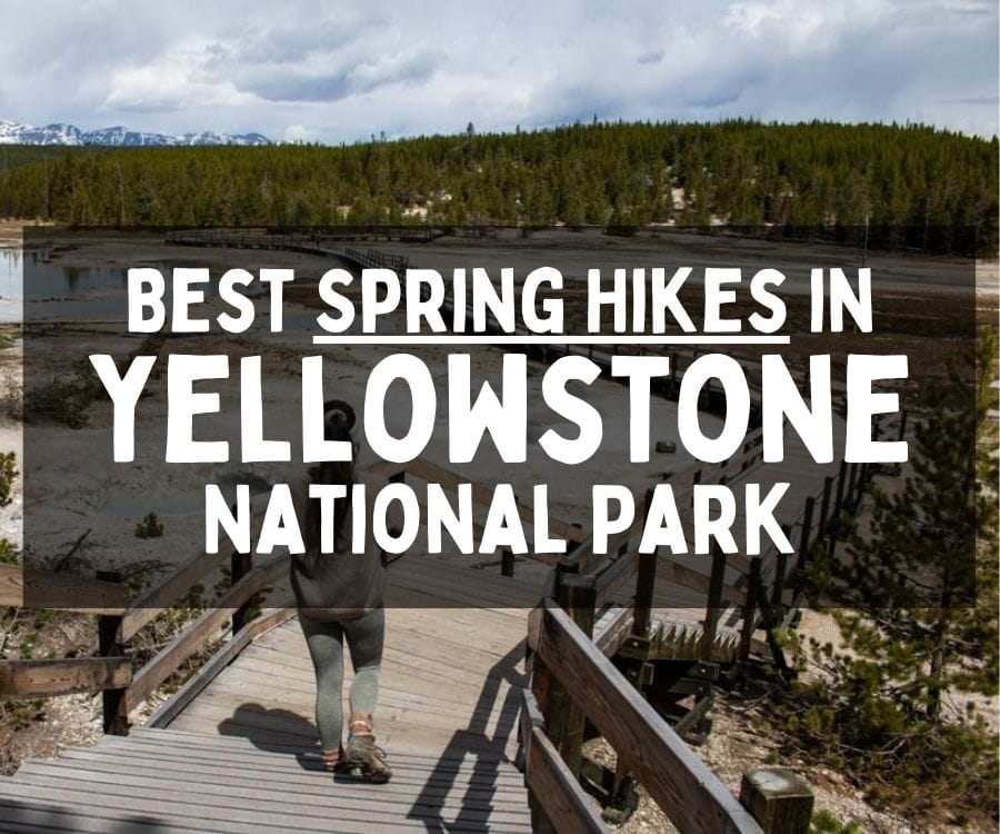 Best Spring Hikes in Yellowstone National Park