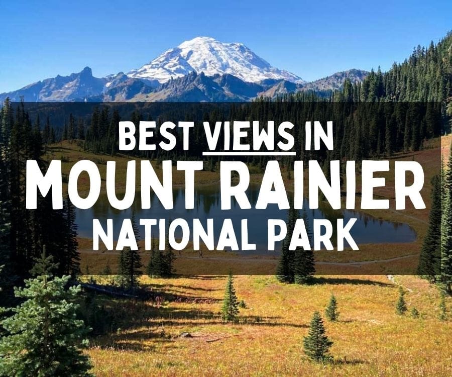 Best Views of Mount Rainier in Mount Rainier National Park, Washington
