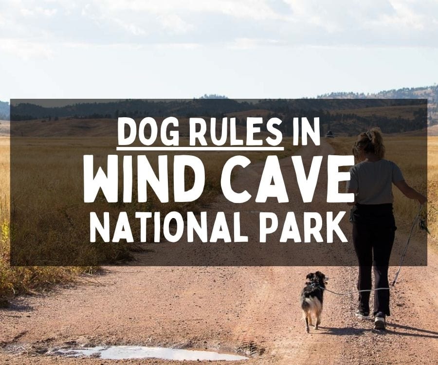 Dog Rules in Wind Cave National Park, South Dakota