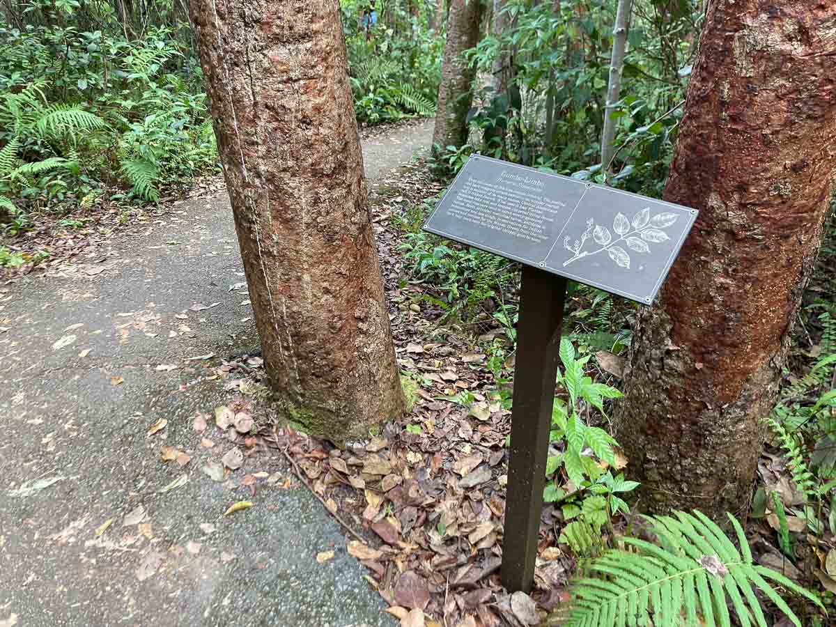 Gumbo Limbo Trail information sign in Everglades National Park