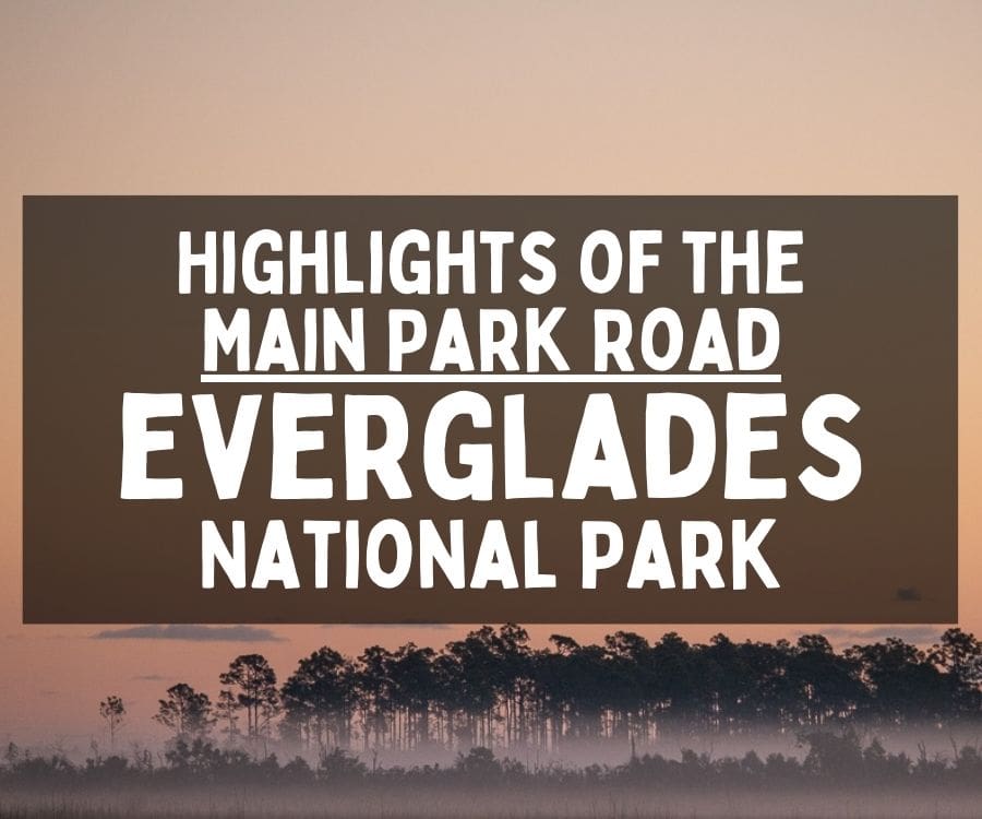 Highlights of the Main Park Road in Everglades National Park, Florida