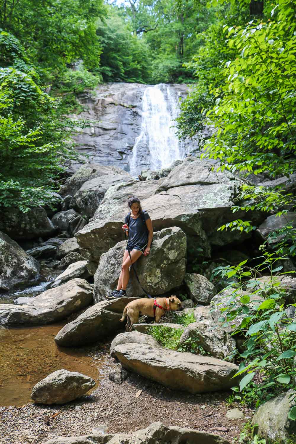 Hiker with her dog on the Whiteoak Canyon Trail in Shenandoah National Park, Virginia