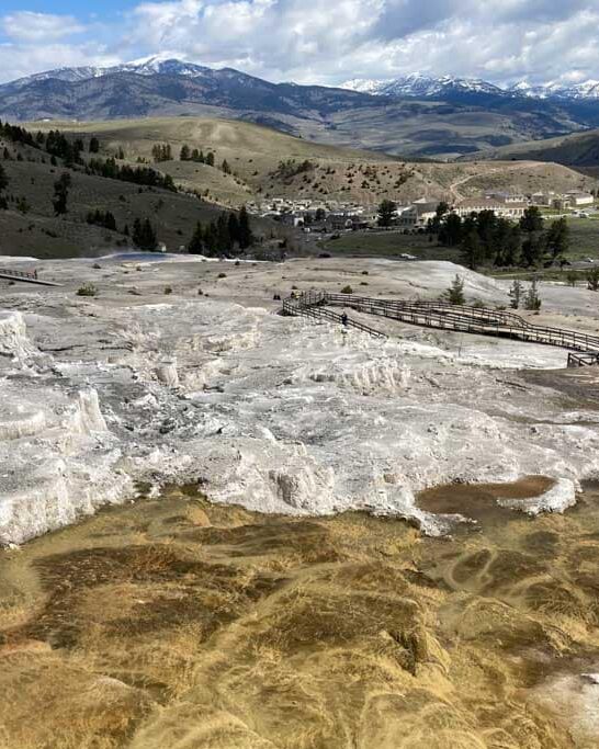 Lower Terraces at Mammoth Hot Springs, Yellowstone National Park