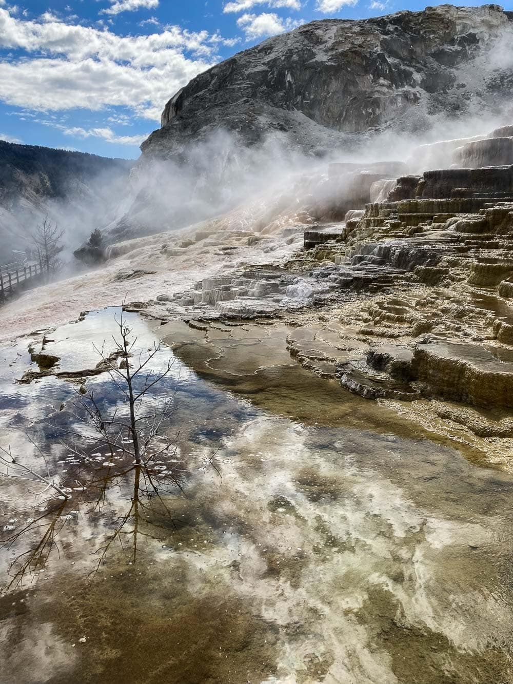 Lower Terraces boardwalk at Mammoth Hot Springs, Yellowstone National Park