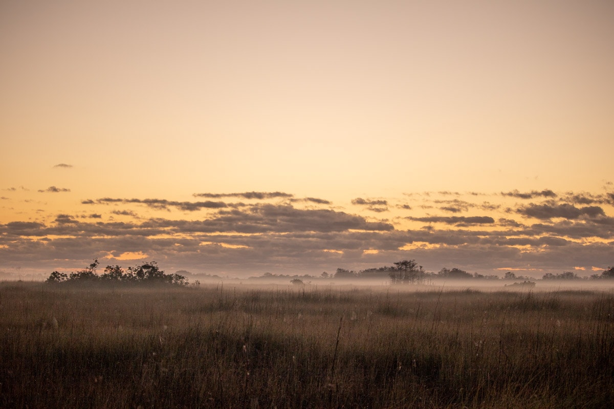 Misty sunrise along the Main Park Road in the Everglades, Florida