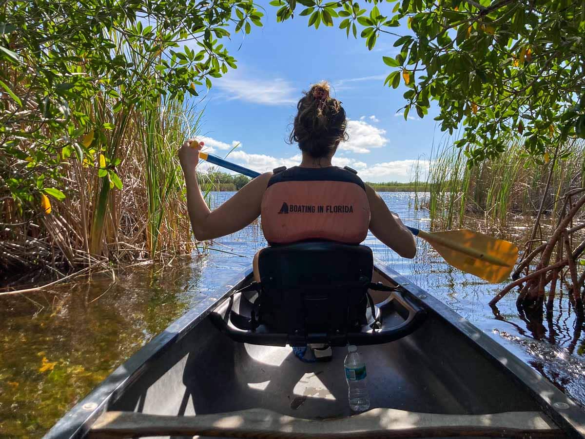 Nine Mile Pond mangrove tunnel canoeing, Everglades National Park