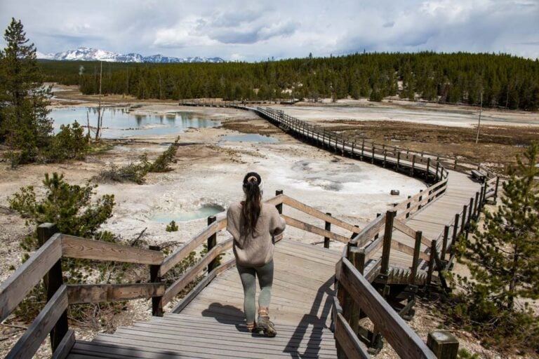 Porcelain Basin boardwalk hiker, Norris Geyser Basin, Yellowstone National Park