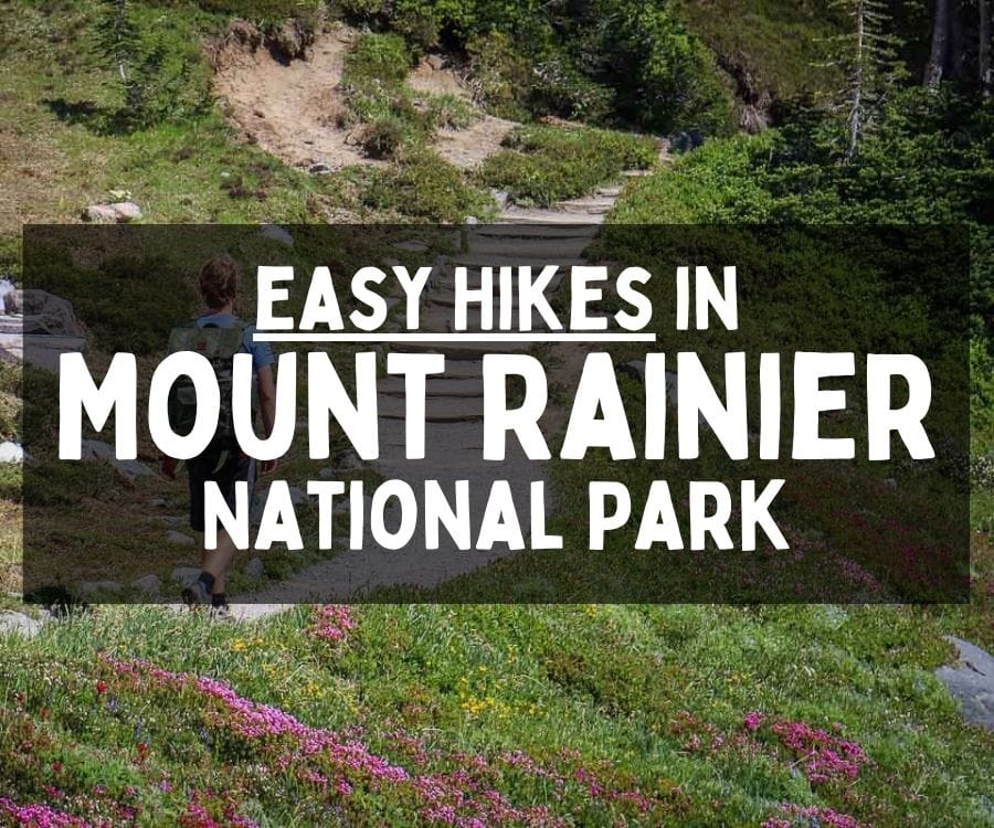 Short and Easy Hikes in Mount Rainier National Park, Washington