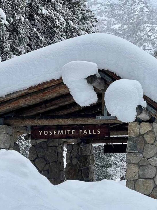 Snow covers the Yosemite Falls bus stop in Yosemite National Park - Image credit NPS