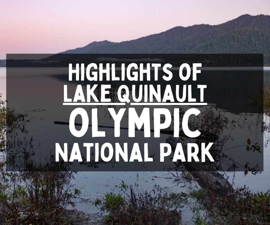 Things to Do at Lake Quinault, Olympic National Park, Washington