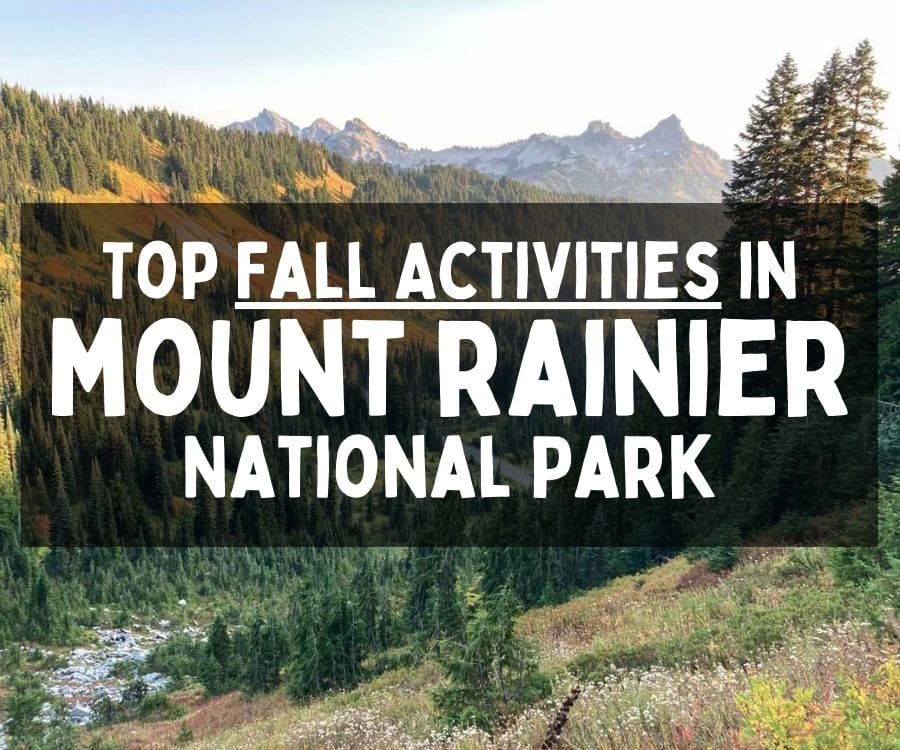 Top Fall Activities in Mount Rainier National Park, Washington
